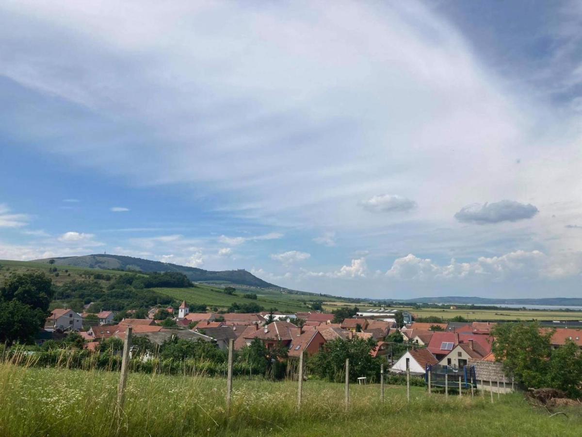 Prazdninovy Dum Na Palave S Vinnym Sklepem Миловице Экстерьер фото